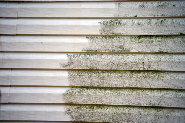 Custom Trim and Detailing for Siding in Pasatiempo, CA